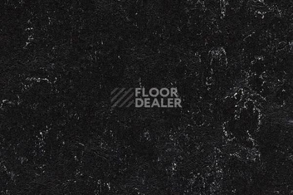 Линолеум Marmoleum Decibel on Order 293935 black фото 1 | FLOORDEALER